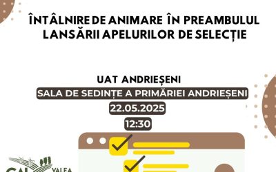 Ești din ANDRIEȘENI, Vino să afli mai multe despre apelurile de selecție ce urmează a fi lansate și condițiile de depunere a proiectelor.