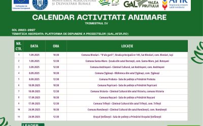 Vino să afli mai multe despre funcționarea platformei de depunere a proiectelor gal.afir.ro.